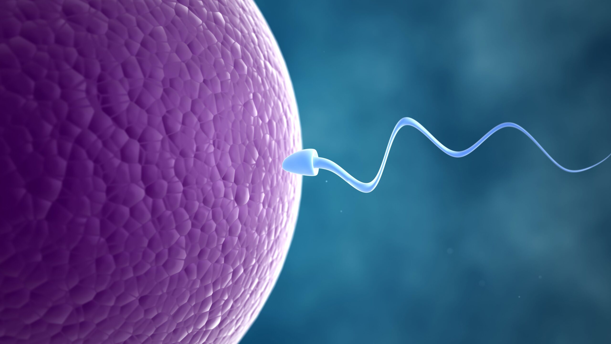 infertility